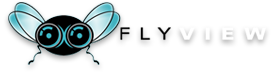 Logo Flyview